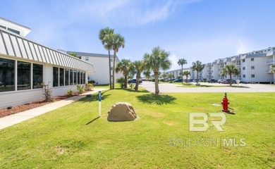 This 2-bedroom, 2-bathroom condo in Gulf Shores Plantation - photo 50