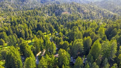 Nestled among the majestic redwoods of Boulder Creek, this - photo 56