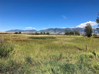 (private lake, pond, creek) Acreage For Sale in Belgrade Montana