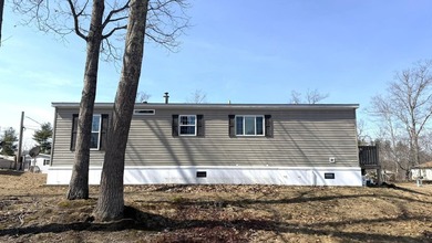 Welcome to Chestnut Hill MH Park. This great home is only six - photo 5