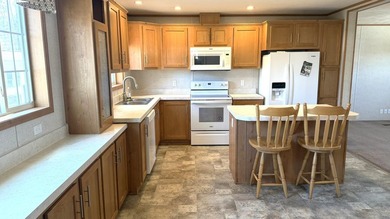 Welcome to Chestnut Hill MH Park. This great home is only six - photo 7
