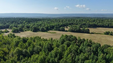 Welcome to a rare opportunity to own nearly 200 contiguous acres - photo 3