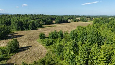 Welcome to a rare opportunity to own nearly 200 contiguous acres - photo 4