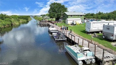 Lake Trafford Marina & Airboats and Alligators - Immokalee's - photo 20