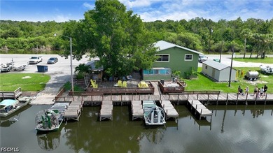 Lake Trafford Marina & Airboats and Alligators - Immokalee's - photo 23