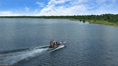Lake Trafford Marina & Airboats and Alligators - Immokalee's - photo 26