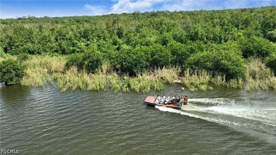 Lake Trafford Marina & Airboats and Alligators - Immokalee's - photo 28