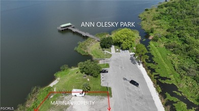 Lake Trafford Marina & Airboats and Alligators - Immokalee's - photo 45