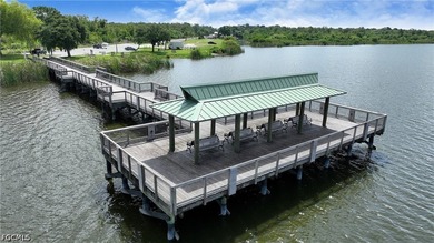 Lake Trafford Marina & Airboats and Alligators - Immokalee's - photo 47