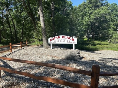 Big Star Lake Access! Bayak Beach! Freshly finished and ready - photo 49