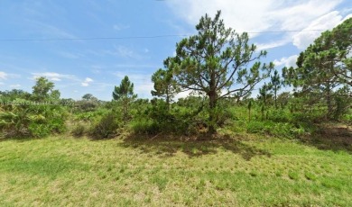 Port Charlotte Waterway Lakes Area Lot For Sale in Port Charlotte Florida