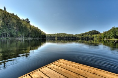Nichee sur les rives paisibles du lac a l'Ile, cette residence - photo 11