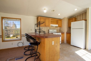 *PROPERTY IN CONTRACT BUT PROSPECTIVE BUYERS MAY SUBMIT BACKUP - photo 11