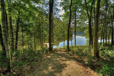 Nichee sur les rives paisibles du lac a l'Ile, cette residence - photo 13