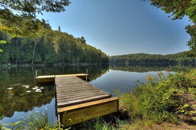Nichee sur les rives paisibles du lac a l'Ile, cette residence - photo 15