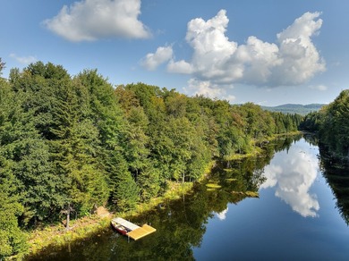 Nichee sur les rives paisibles du lac a l'Ile, cette residence - photo 16