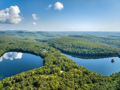 Nichee sur les rives paisibles du lac a l'Ile, cette residence - photo 17