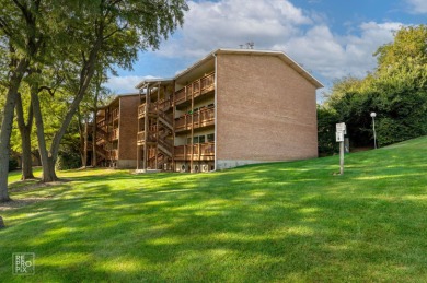 Lake Condo For Sale in Lisle, Illinois