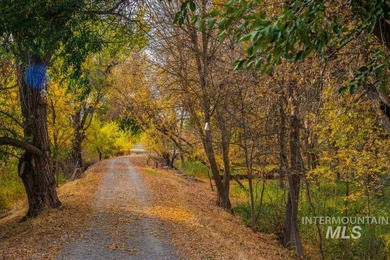 Amazing island property with 36+ acres surrounded by beautiful - photo 6