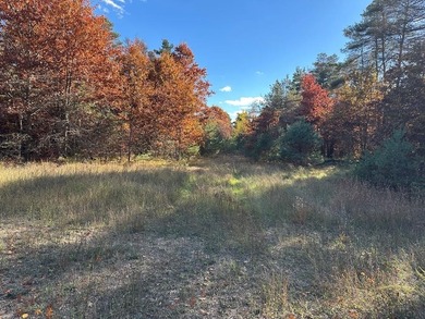 Lake Acreage For Sale in Harrison, Michigan
