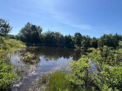 Lake Acreage For Sale in Colbert, Oklahoma