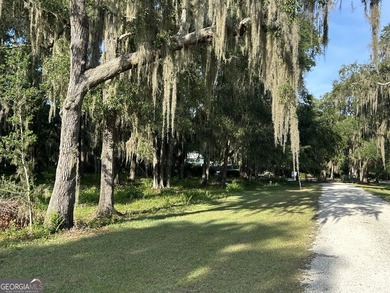 Build your dream home beneath a canopy of majestic live oaks in - photo 11