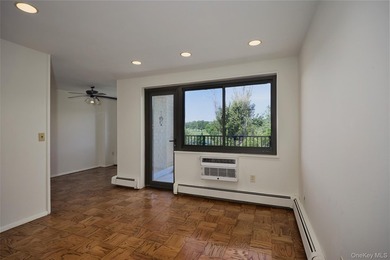 Welcome to 100 E Hartsdale Avenue - a spacious and beautifully - photo 14