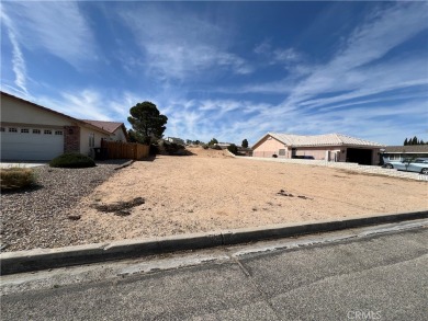 Silver Lakes Lot For Sale in Helendale California