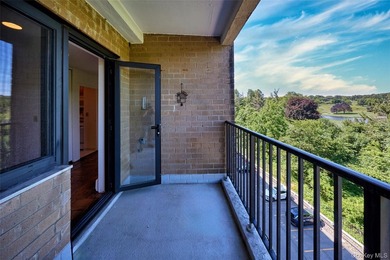 Welcome to 100 E Hartsdale Avenue - a spacious and beautifully - photo 25