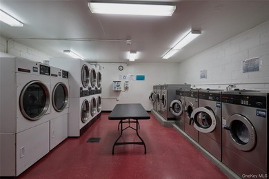 Welcome to 100 E Hartsdale Avenue - a spacious and beautifully - photo 27
