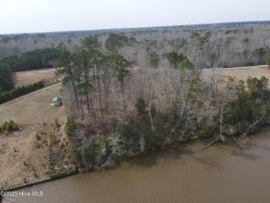 Lake Lot For Sale in Winton, North Carolina