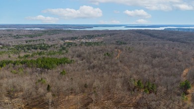 Spanning approximately 140+/- acres, this exceptional tract - photo 11