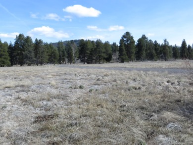 Enjoy this 5 acre lot in the upscale subdivision of Pine Ridge - photo 11