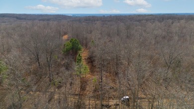 Spanning approximately 140+/- acres, this exceptional tract - photo 12
