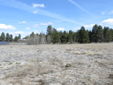 Enjoy this 5 acre lot in the upscale subdivision of Pine Ridge - photo 12