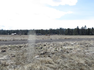 Enjoy this 5 acre lot in the upscale subdivision of Pine Ridge - photo 13