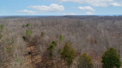 Spanning approximately 140+/- acres, this exceptional tract - photo 14