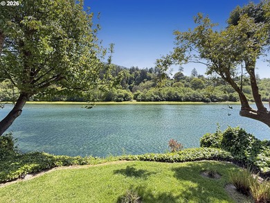 RIVERFRONT living in this beautifully maintained 2-bedroom cabin - photo 17
