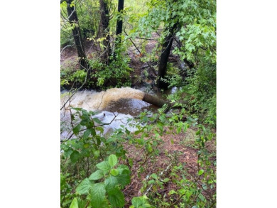 (private lake, pond, creek) Acreage Sale Pending in Athens Texas