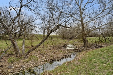 (private lake, pond, creek) Acreage For Sale in Polk Missouri