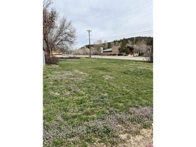 McPhee Reservoir Lot For Sale in Dolores Colorado