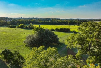 This incredible 88+/- acre property in Hays County offers a rare - photo 16