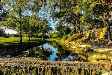 This incredible 88+/- acre property in Hays County offers a rare - photo 18