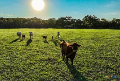 This incredible 88+/- acre property in Hays County offers a rare - photo 21