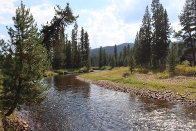 Your Oasis in the backcounty. Located along the Secesh River in - photo 1