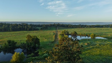 Lake Acreage For Sale in Waldron, Arkansas