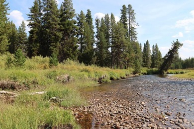 Your Oasis in the backcounty. Located along the Secesh River in - photo 2