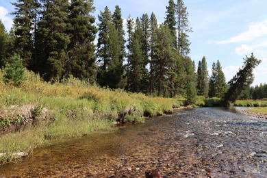 Your Oasis in the backcounty. Located along the Secesh River in - photo 3