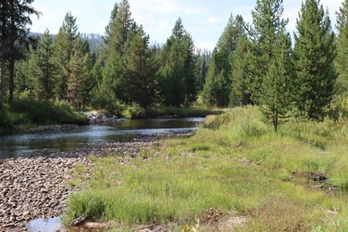 Your Oasis in the backcounty. Located along the Secesh River in - photo 4