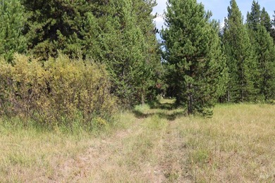 Your Oasis in the backcounty. Located along the Secesh River in - photo 5